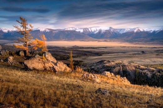 �1756270 �������(a): ����������:3500x2333